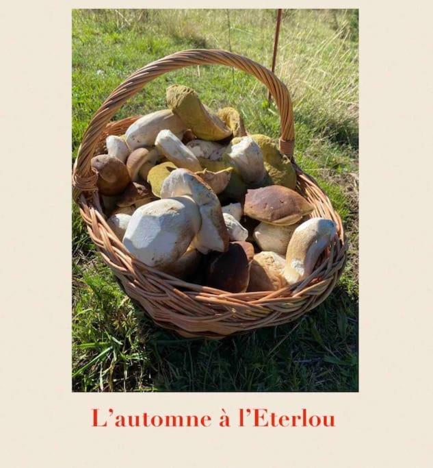 Willa L'Eterlou Authentique Partie De Corps De Ferme 10Pers. Targassonne Zewnętrze zdjęcie